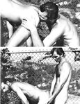 COCK! Photos