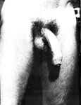COCKRING 1979 Photos