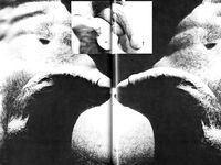 COCKRING 1979 Photos
