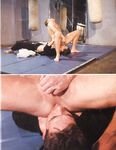 COCKSUCKERS KARATE Photos