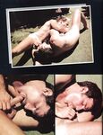 COCKSUCKING BUDDIES Spes Nr 1 Photos
