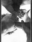 COLOSSAL COCKS Photos
