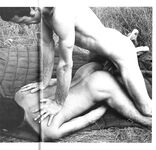 COLTS ... BEST WE EVER HAD Photos
