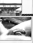COUNTY FAIR Photos