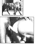 COUNTY FAIR Photos