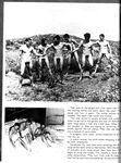 COWBOYS INTERNATIONAL 1973 Photos