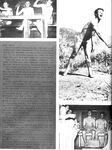 COWBOYS INTERNATIONAL 1973 Photos