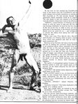 COWBOYS INTERNATIONAL 1973 Photos