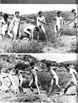 COWBOYS INTERNATIONAL 1973 Photos