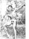 COWBOYS INTERNATIONAL 1973 Photos
