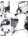 CRUISER, THE Nr 1 Photos
