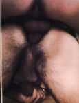 CUM 4 EVER Photos
