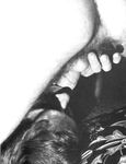 CUM CRUISER Vol 1 Nr 1 Photos