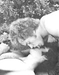 CUM IN MY GARDEN Photos
