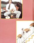 DAN'S DISCIPLINE Photos