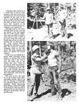 DAVID MEETS THE WOODSMAN Nr 1 1978 Photos