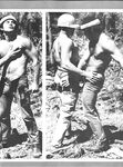 DAVID MEETS THE WOODSMAN Nr 1 1978 Photos