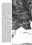 DAVID MEETS THE WOODSMAN Nr 1 1978 Photos