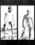 DESERT FOX 1978 Photos