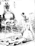 DESERT FOX 1978 Photos