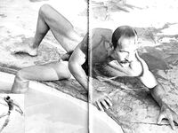 DESERT FOX 1978 Photos