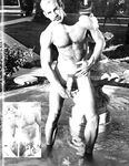 DESERT FOX 1978 Photos
