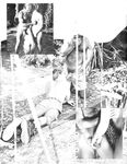 DESERT FOX 1978 Photos