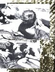 DIRT BIKES 1979 Photos