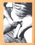 DIRT BIKES 1979 Photos