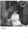 DOWN WHITE BOY Photos