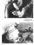 DOWN WHITE BOY Photos