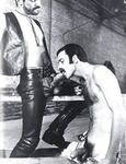 DYNAMITE DICKS! Photos