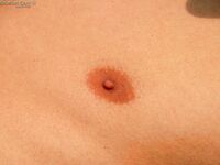 S07 - 015 Marcel Hard - BoyStation - Masturbation