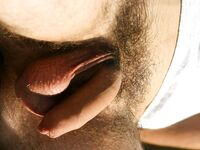 S07 - 039 David Hard - BoyStation - Masturbation