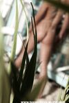 Gallery 586 Amico - Teen-Boys-World, TBWStudio - TBWStudio