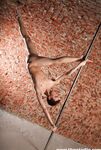 Gallery 634 Pascal - Teen-Boys-World, TBWStudio - Twinks