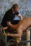 A New Captive From Shibari Maestro - Final - RusCapturedBoys - Russian
