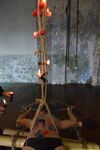 A New Captive From Shibari Maestro - Final - RusCapturedBoys - Russian