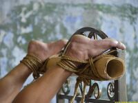 A New Captive From Shibari Maestro - Ii - RusCapturedBoys - Russian
