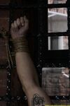 A New Mistress Of Slave Vasiliy - Part Ii - RusCapturedBoys - Muscle
