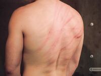 Another Victim Of Justice - Part Ii - RusCapturedBoys - Bondage&Disciрline