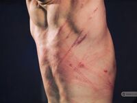 Another Victim Of Justice - Part Iii - RusCapturedBoys - Waxing
