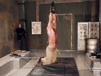 Bodybuilder Roman In Slavery - Part Ii - RusCapturedBoys - BDSM