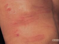 Captured Repairman - Part Ii - RusCapturedBoys - Spanking