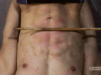 Captured Secret Agents - Part V - RusCapturedBoys - Spanking