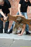 Captured Worker - Final Part - RusCapturedBoys - Russian