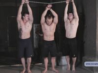 Car Thieves - Part I - RusCapturedBoys - Jocks