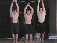 Car Thieves - Part I - RusCapturedBoys - Jocks