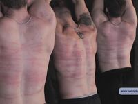 Car Thieves - Part I - RusCapturedBoys - Jocks