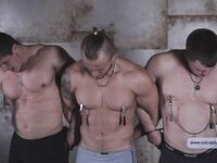 Car Thieves - Part Iii - RusCapturedBoys - Jocks